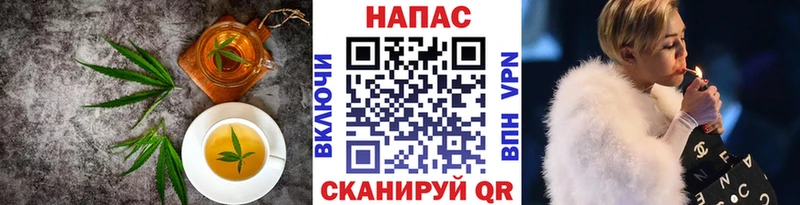 Cannafood конопля  Шахты 