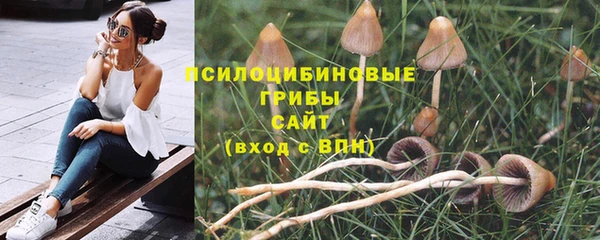 метамфетамин Белокуриха