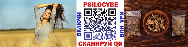 Псилоцибиновые грибы мухоморы  mega рабочий сайт  Шахты 